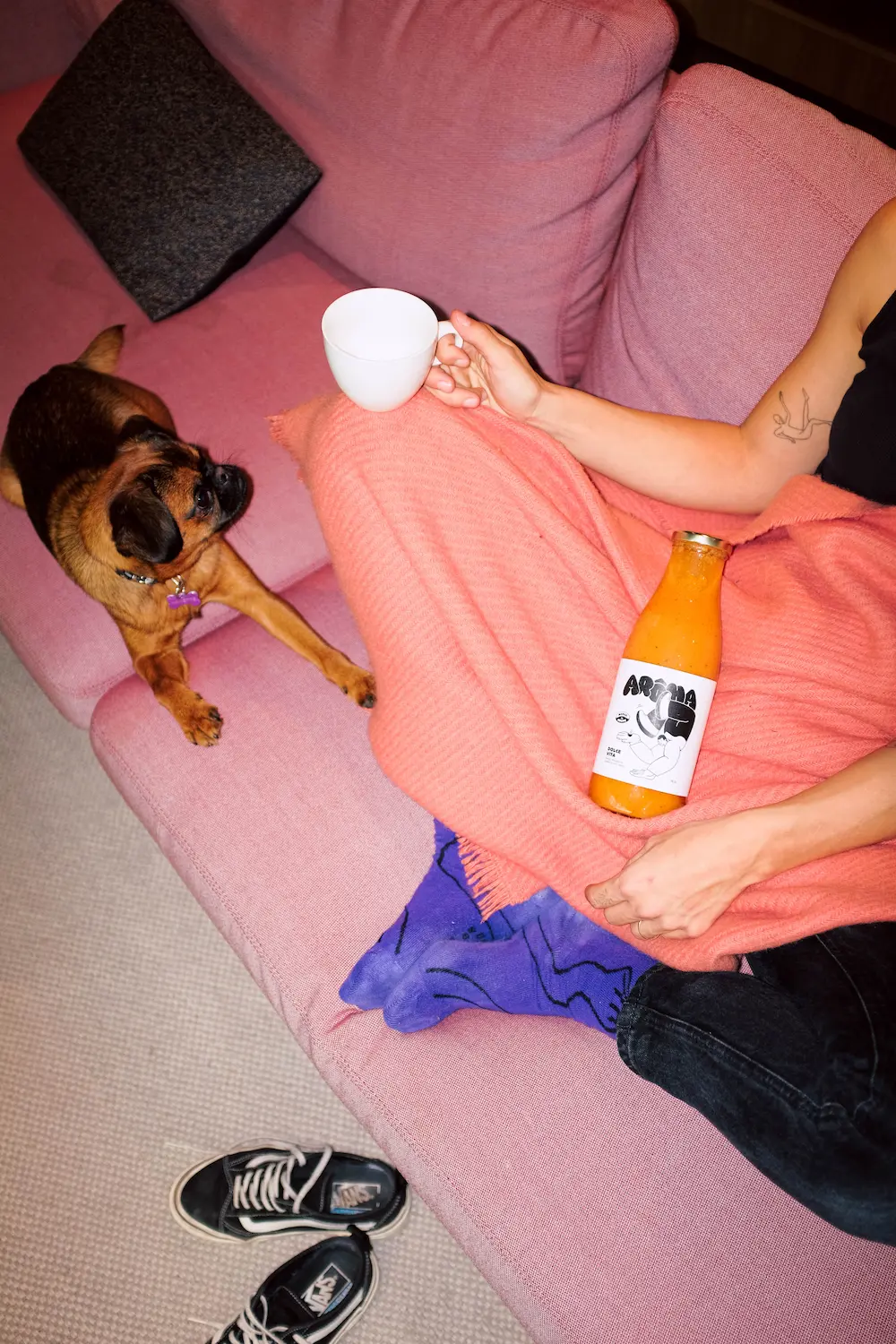 La soupe arôma posée sur un canapé, à côté d'un chien
