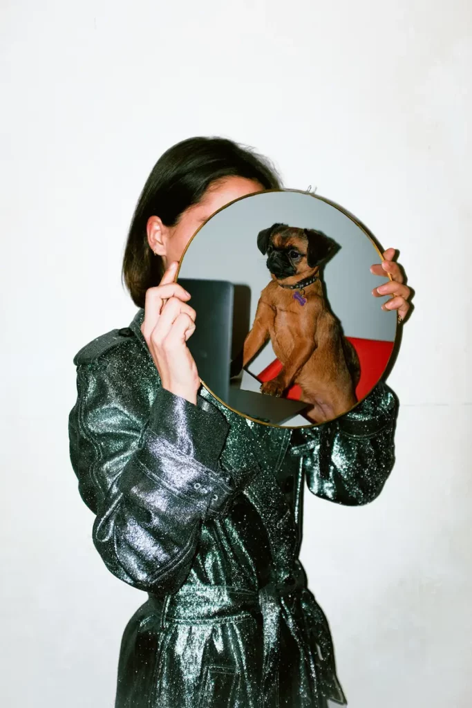 La mascotte de l'agence, Nanette, prise en photo dans un miroir